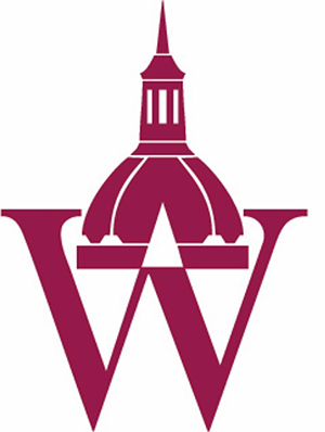 "JHU Wilmer Institute"
